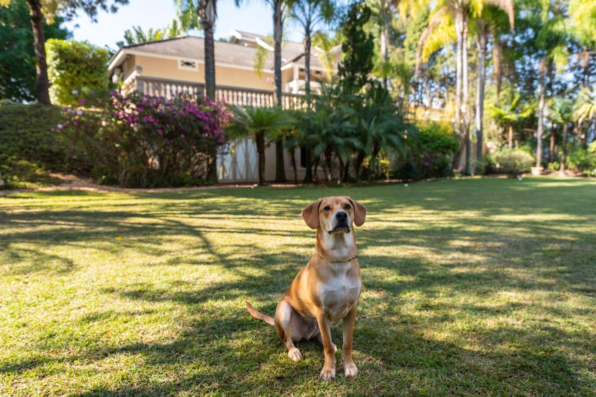 Fazenda Vila Real - Grande E Charmosa Casa De Campo Itu Zewnętrze zdjęcie