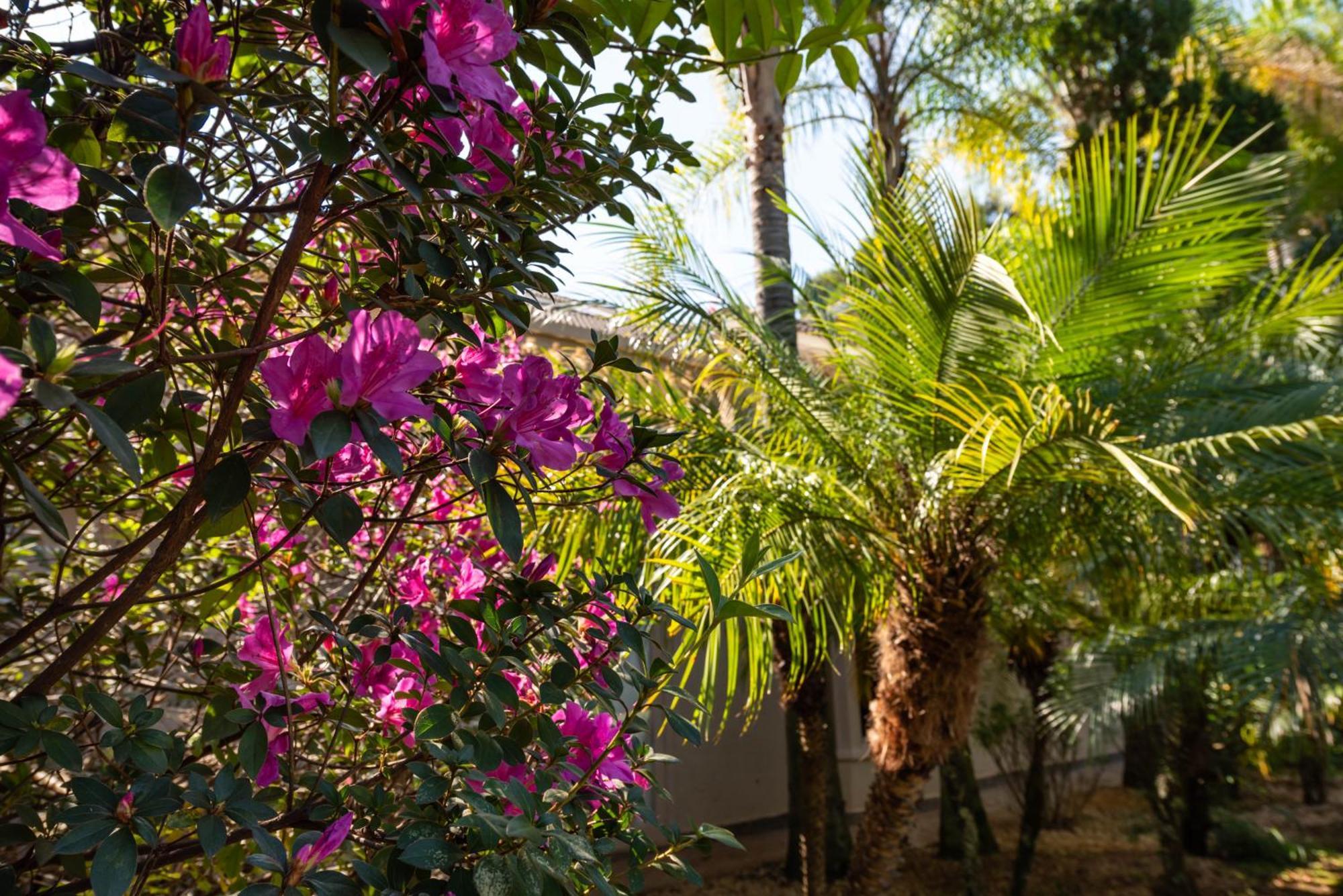Fazenda Vila Real - Grande E Charmosa Casa De Campo Itu Zewnętrze zdjęcie
