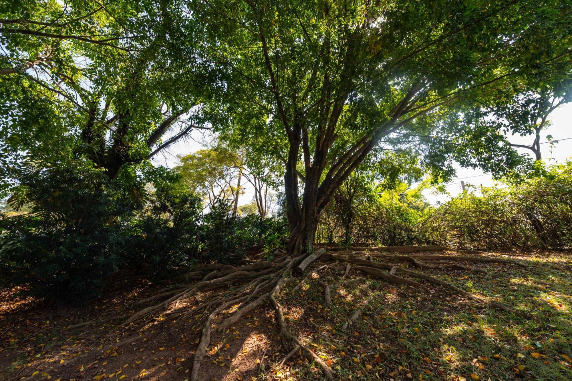 Fazenda Vila Real - Grande E Charmosa Casa De Campo Itu Zewnętrze zdjęcie